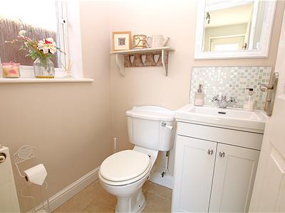Picture 14